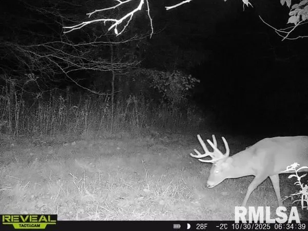 $635,000 | 896 Northeast 1300 Street, Roodhouse, IL 62082