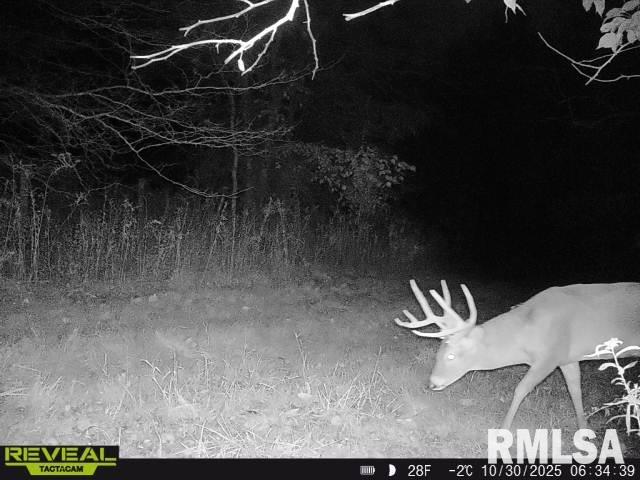 896 Northeast 1300 Street Roodhouse, IL 62082 - Photo 84 of 89