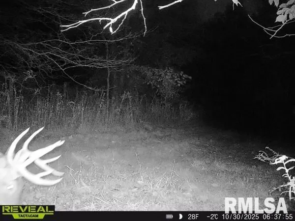 $635,000 | 896 Northeast 1300 Street, Roodhouse, IL 62082