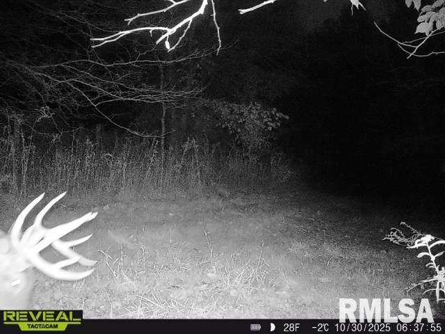 896 Northeast 1300 Street Roodhouse, IL 62082 - Photo 85 of 89