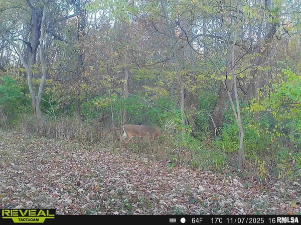 $635,000 | 896 Northeast 1300 Street, Roodhouse, IL 62082