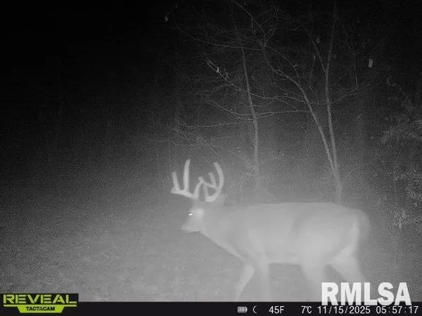 $635,000 | 896 Northeast 1300 Street, Roodhouse, IL 62082