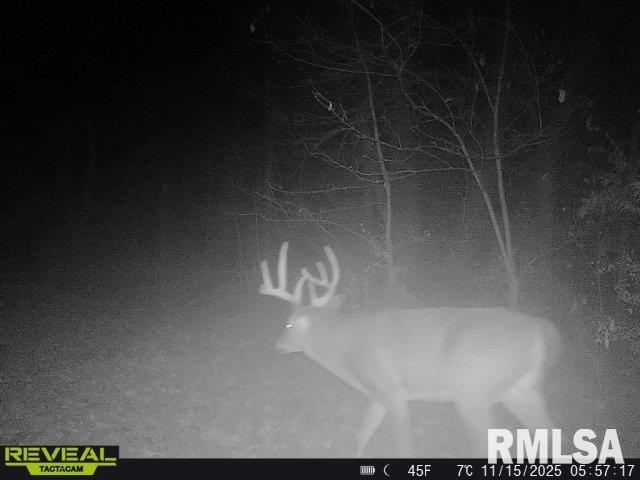 896 Northeast 1300 Street Roodhouse, IL 62082 - Photo 87 of 89