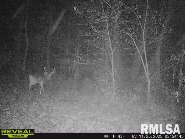 $635,000 | 896 Northeast 1300 Street, Roodhouse, IL 62082