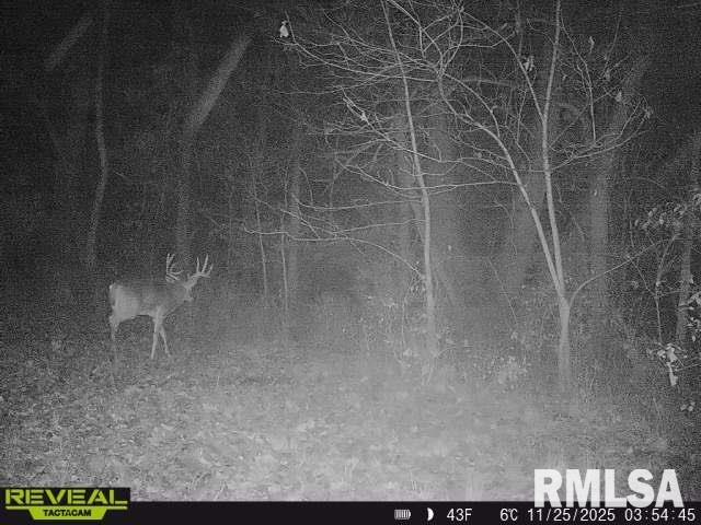 896 Northeast 1300 Street Roodhouse, IL 62082 - Photo 88 of 89