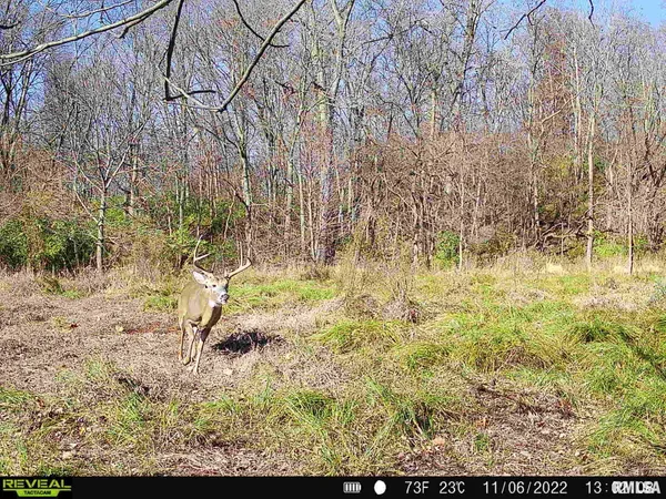 $635,000 | 896 Northeast 1300 Street, Roodhouse, IL 62082