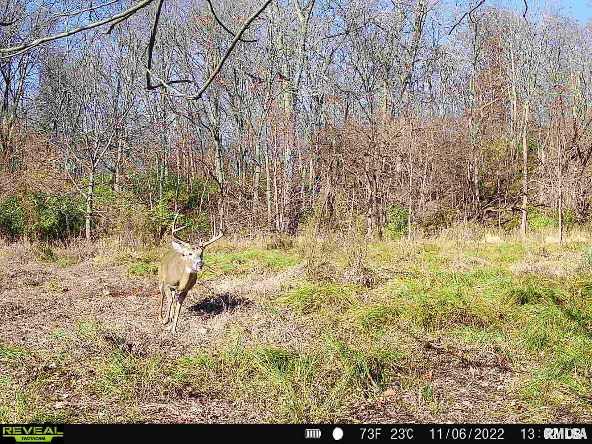 896 Northeast 1300 Street Roodhouse, IL 62082 - Photo 89 of 89