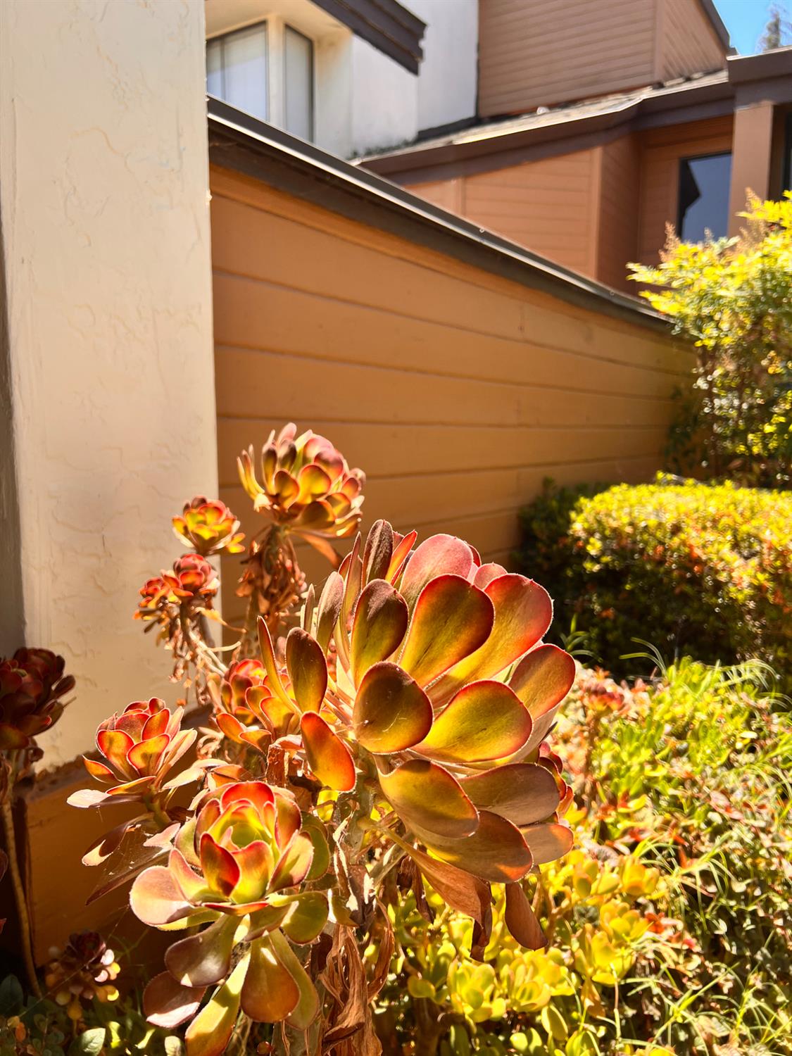 1417 West Swain Road Stockton, CA 95207 - Photo 5 of 18 a view of an outdoor space