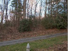 121 Duckett Road Unicoi, TN 37692 - Photo 8 of 9 Photo 8