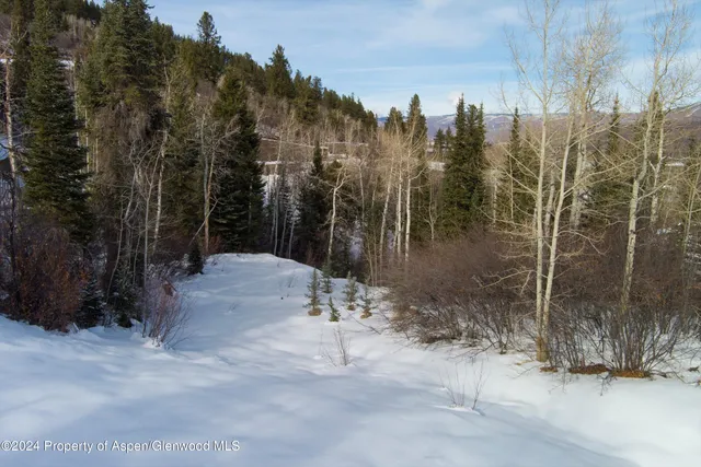 a view of a covered with trees