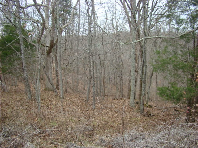 2475 Claxon Ridge Road Owenton, KY 40359 - Photo 27 of 40 Gallery Image 27