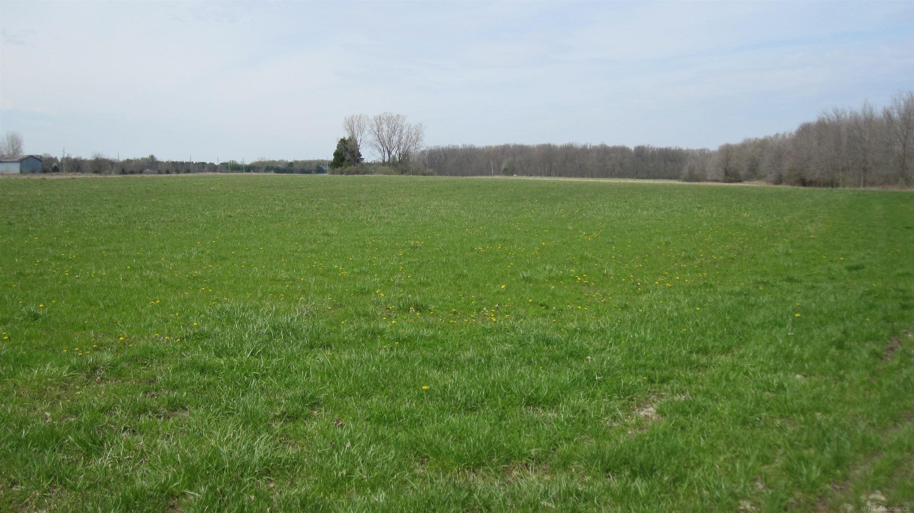 1-vl Jeddo Road Avoca, MI 48006 - Photo 7 of 18