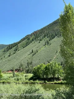 a view of a lush green forest with lots of trees