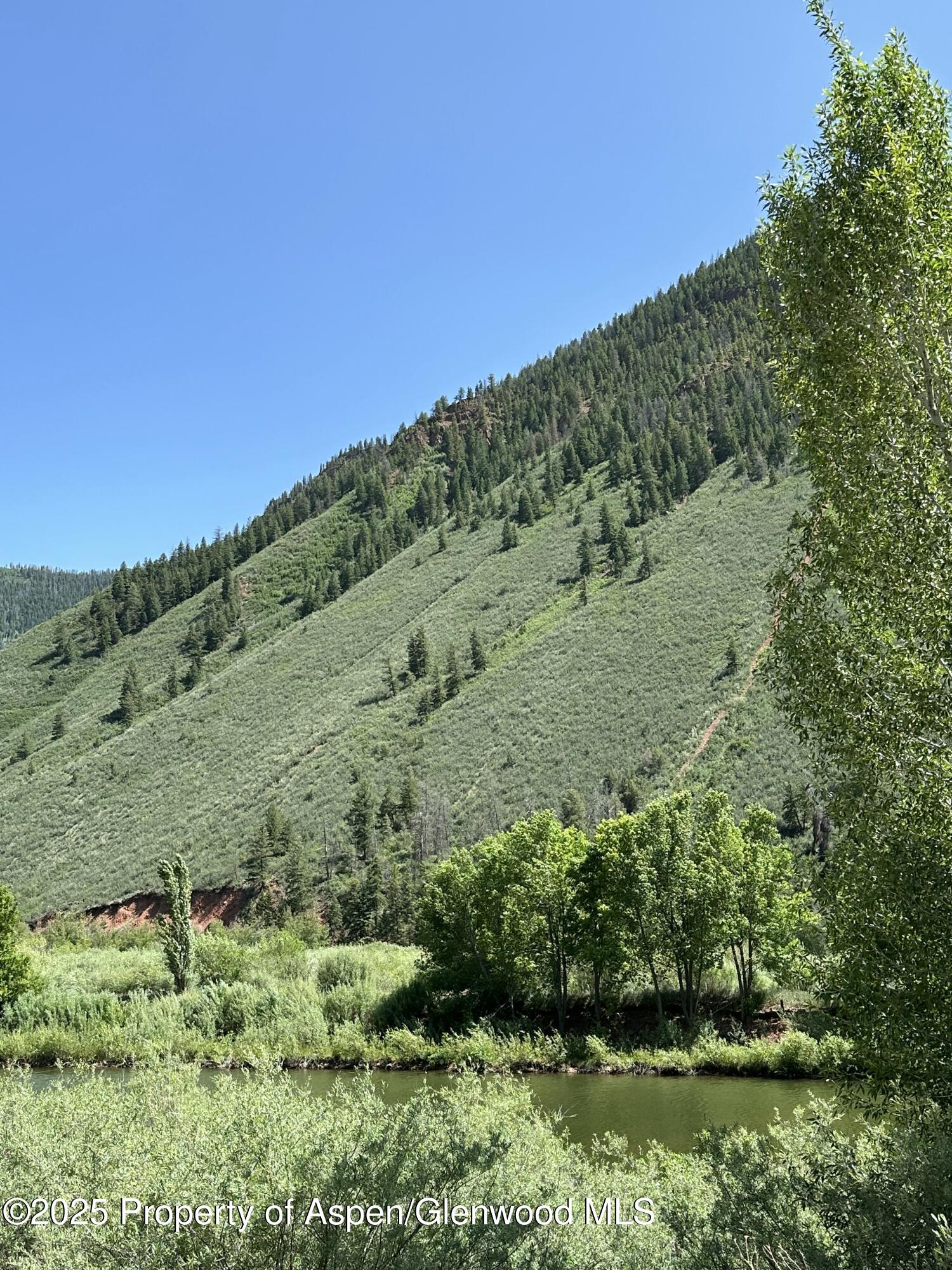4959 Frying Pan Road Basalt, CO 81621 - Photo 11 of 20 a view of a lush green forest with lots of trees