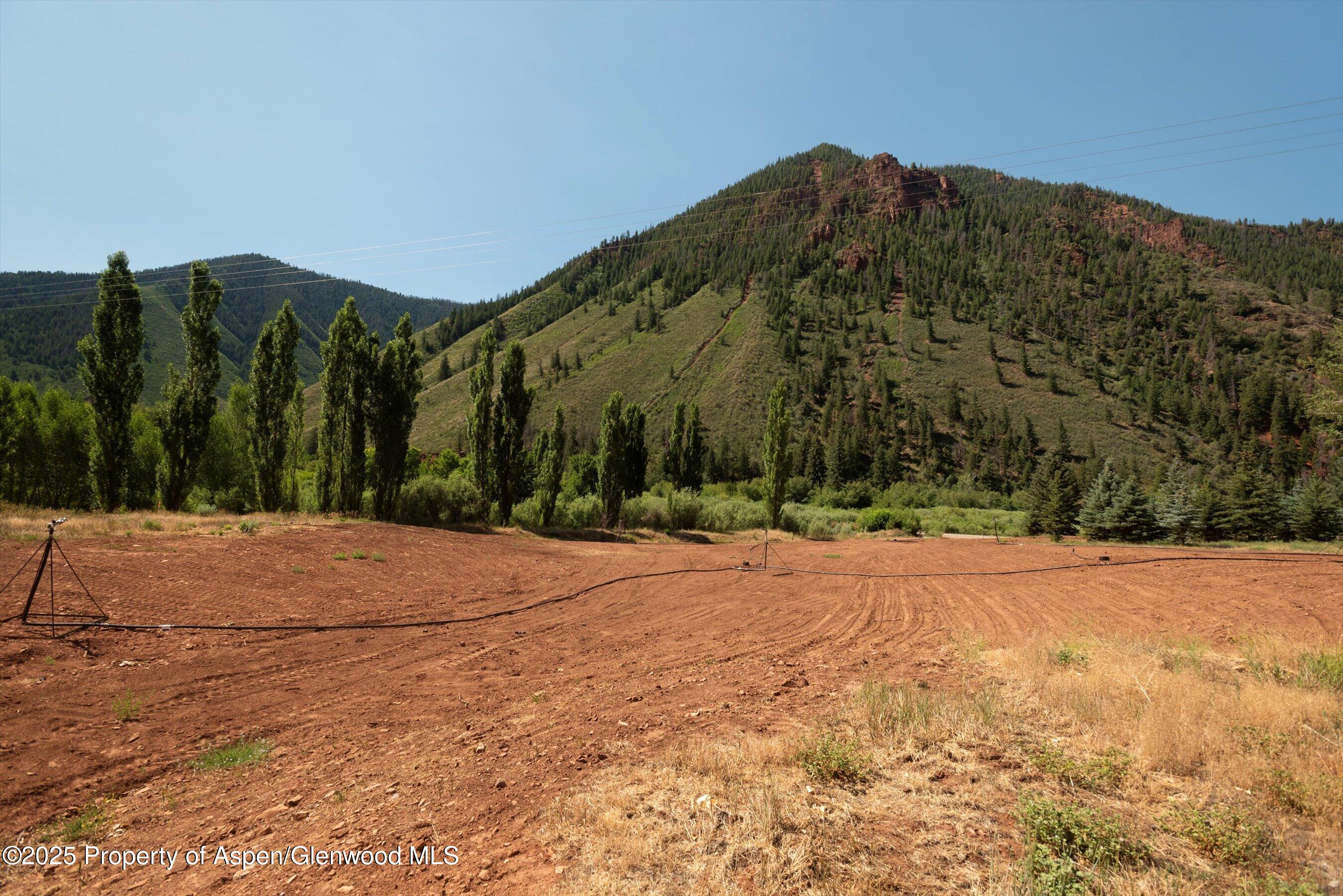 4959 Frying Pan Road Basalt, CO 81621 - Photo 17 of 20 a backyard of a house with large trees