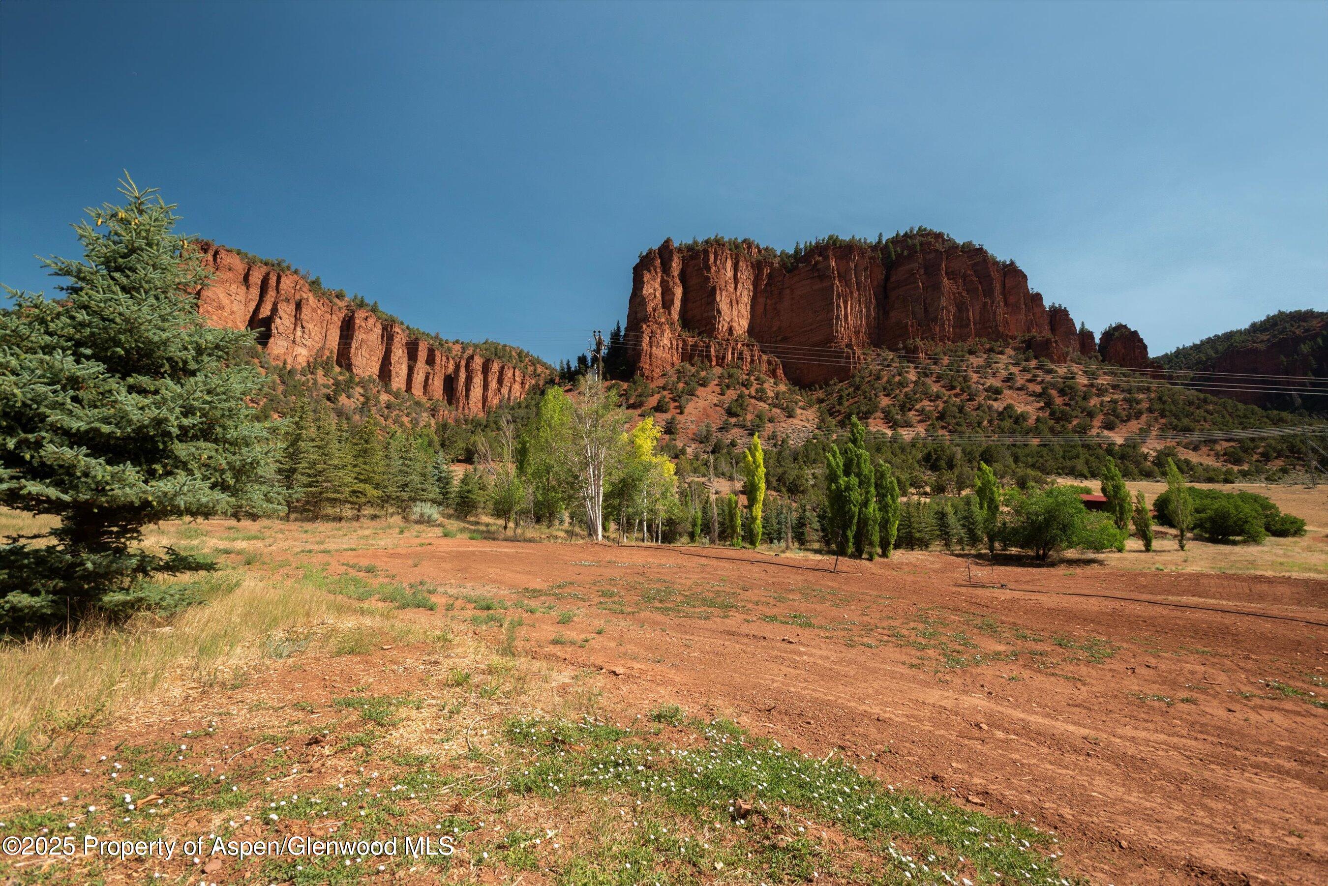 4959 Frying Pan Road Basalt, CO 81621 - Photo 2 of 20 a view of a back yard