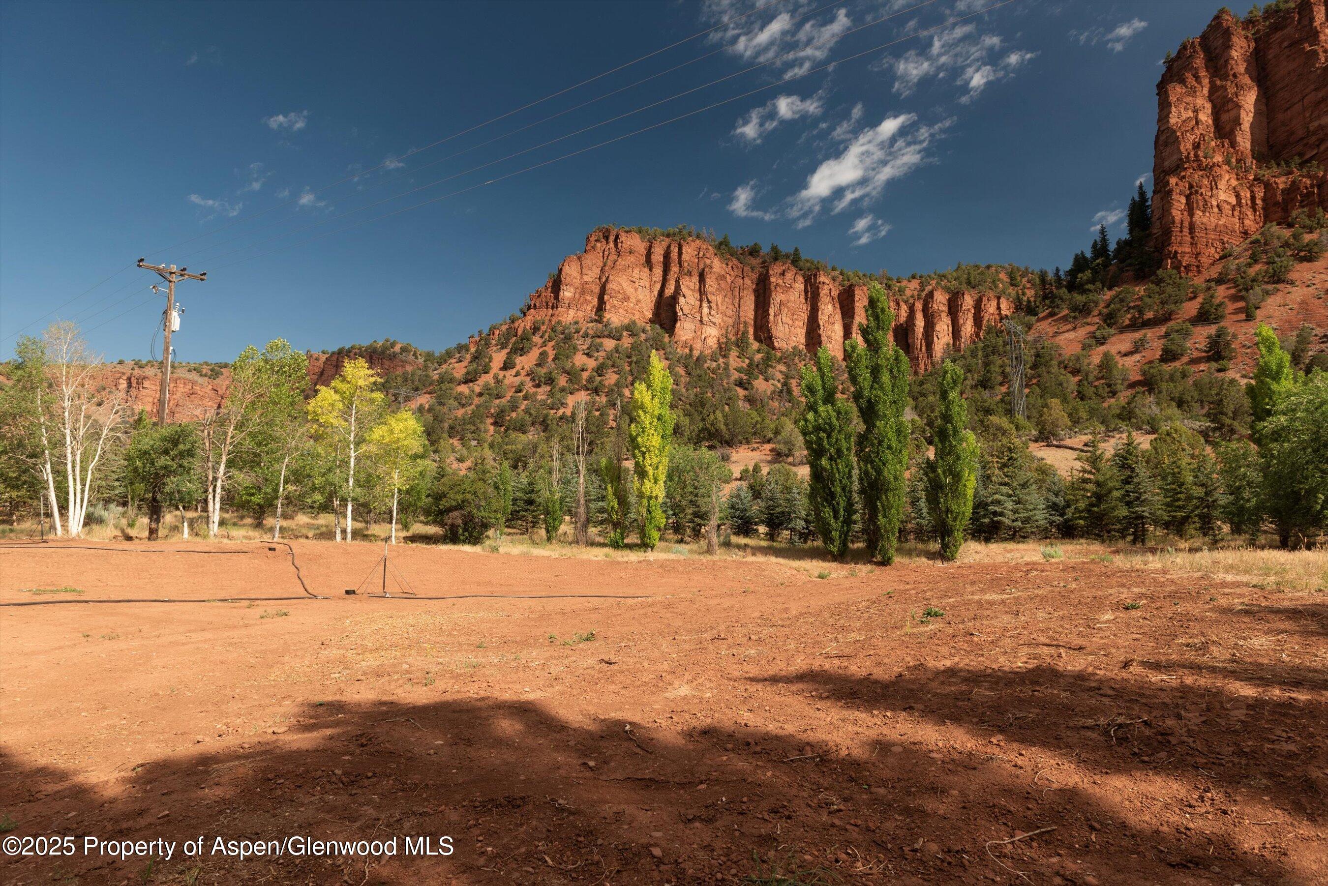 4959 Frying Pan Road Basalt, CO 81621 - Photo 4 of 20 a view of outdoor space with trees