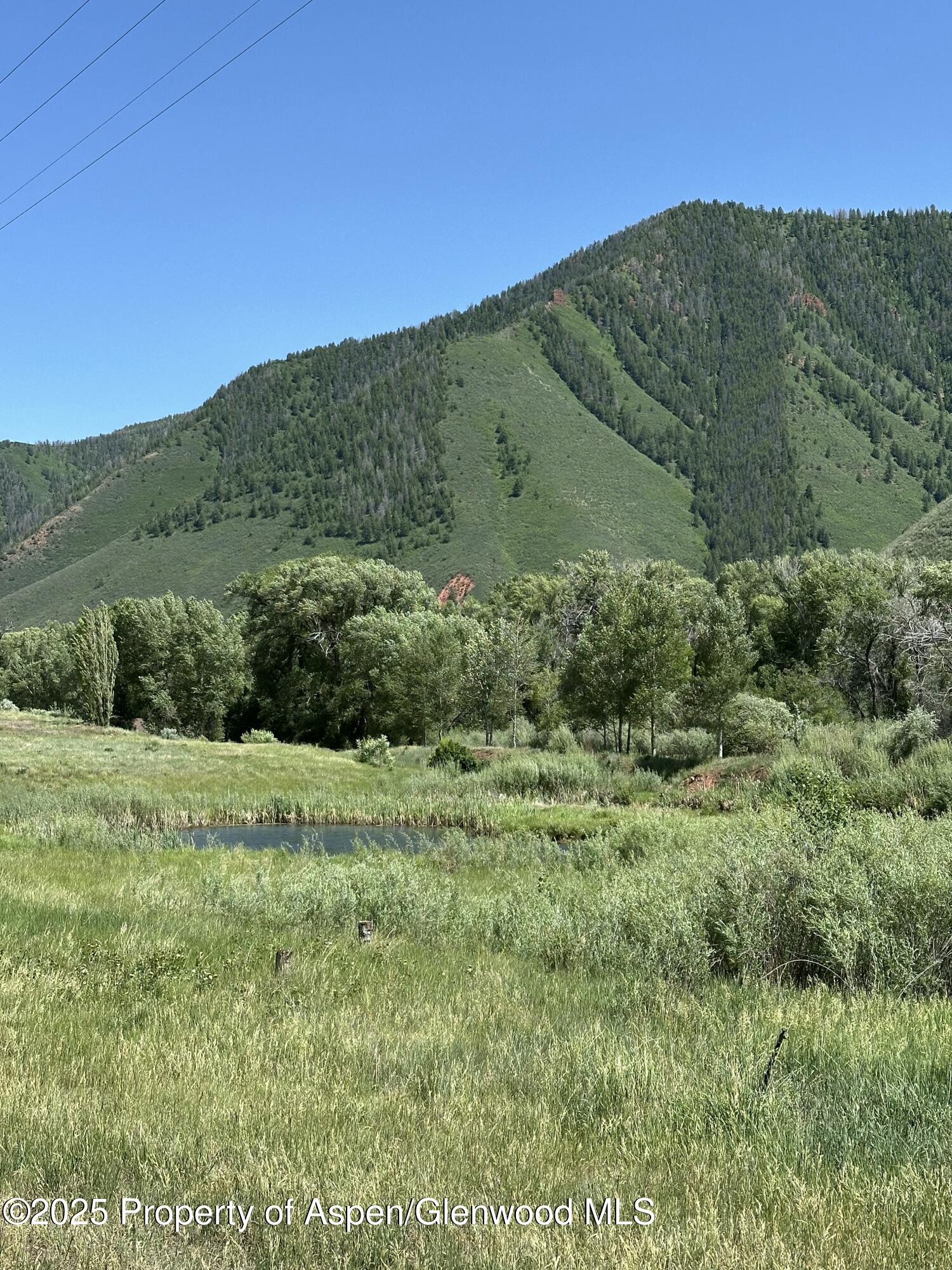 4959 Frying Pan Road Basalt, CO 81621 - Photo 10 of 20 a view of a big yard with green space
