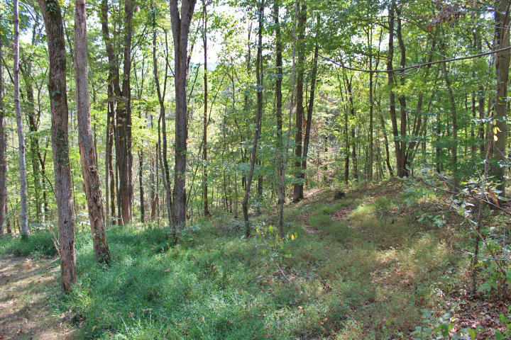 945 Haynes Knob Road Somerset, KY 42501 - Photo 21 of 70 IMG_8767