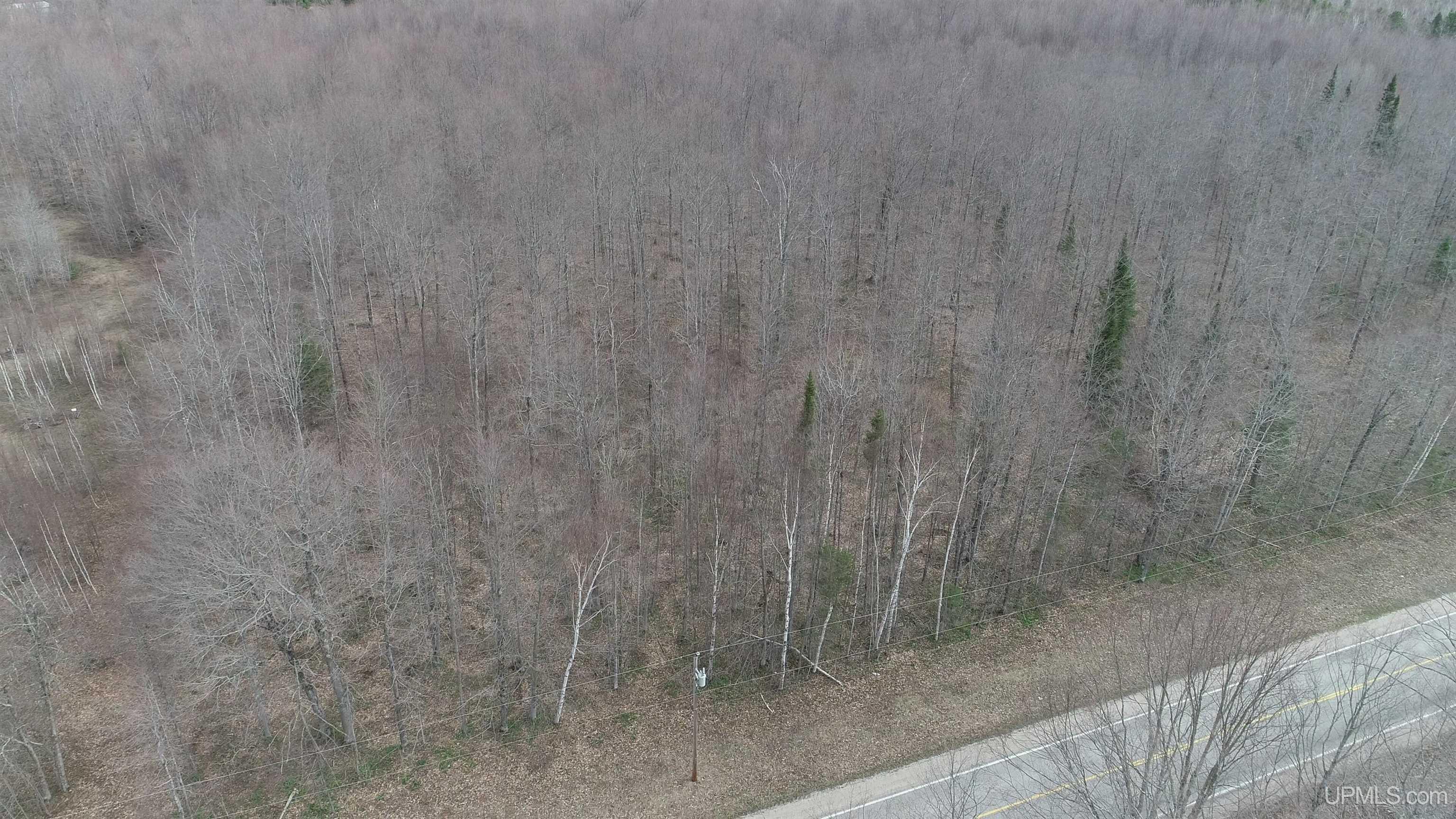 Parcel B County 433 Road Gulliver, MI 49840 - Photo 3 of 14