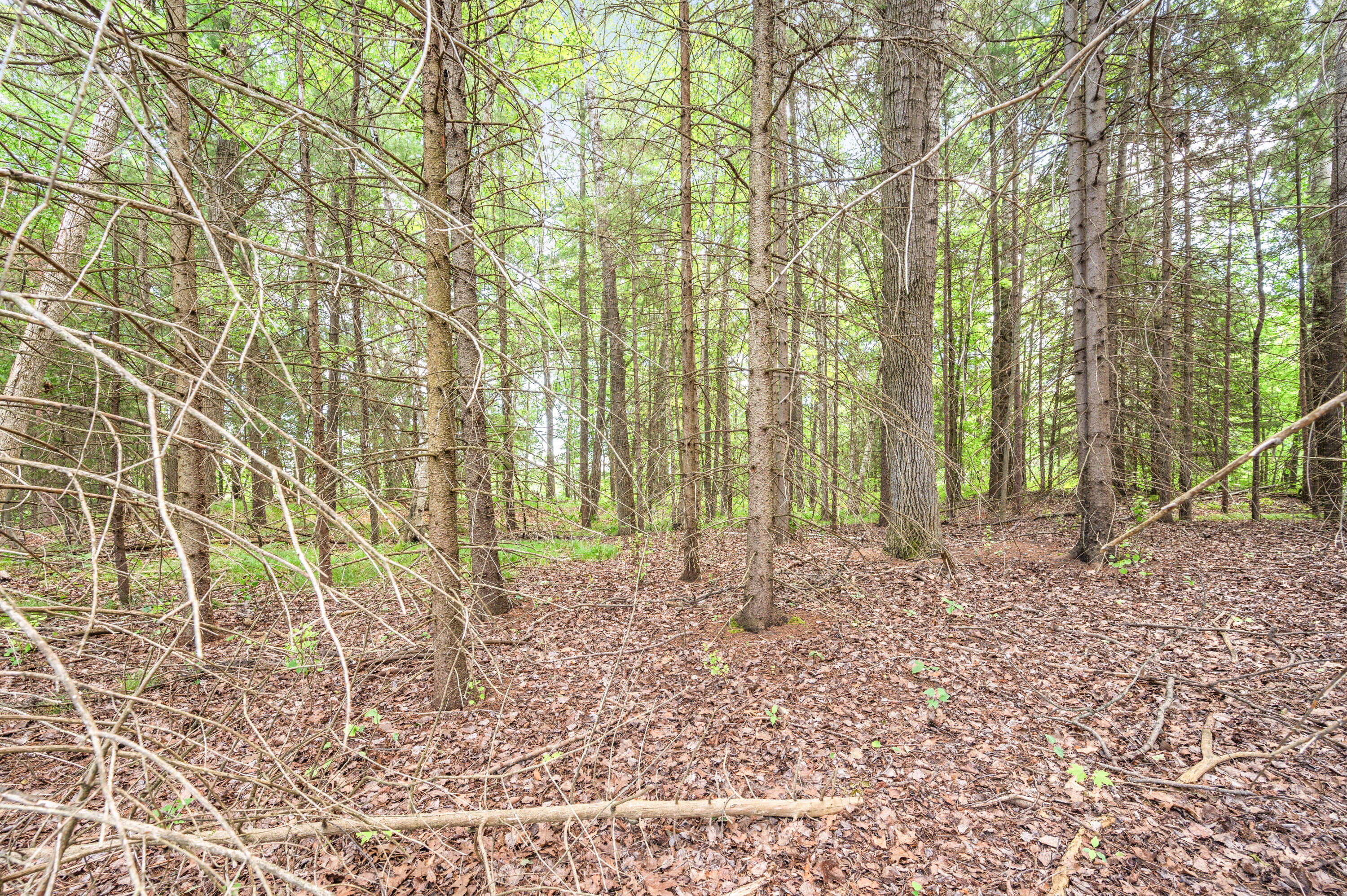 14360 16 Mile Road Rodney, MI 49342 - Photo 66 of 89 14360-16MileRd-Rodney-65