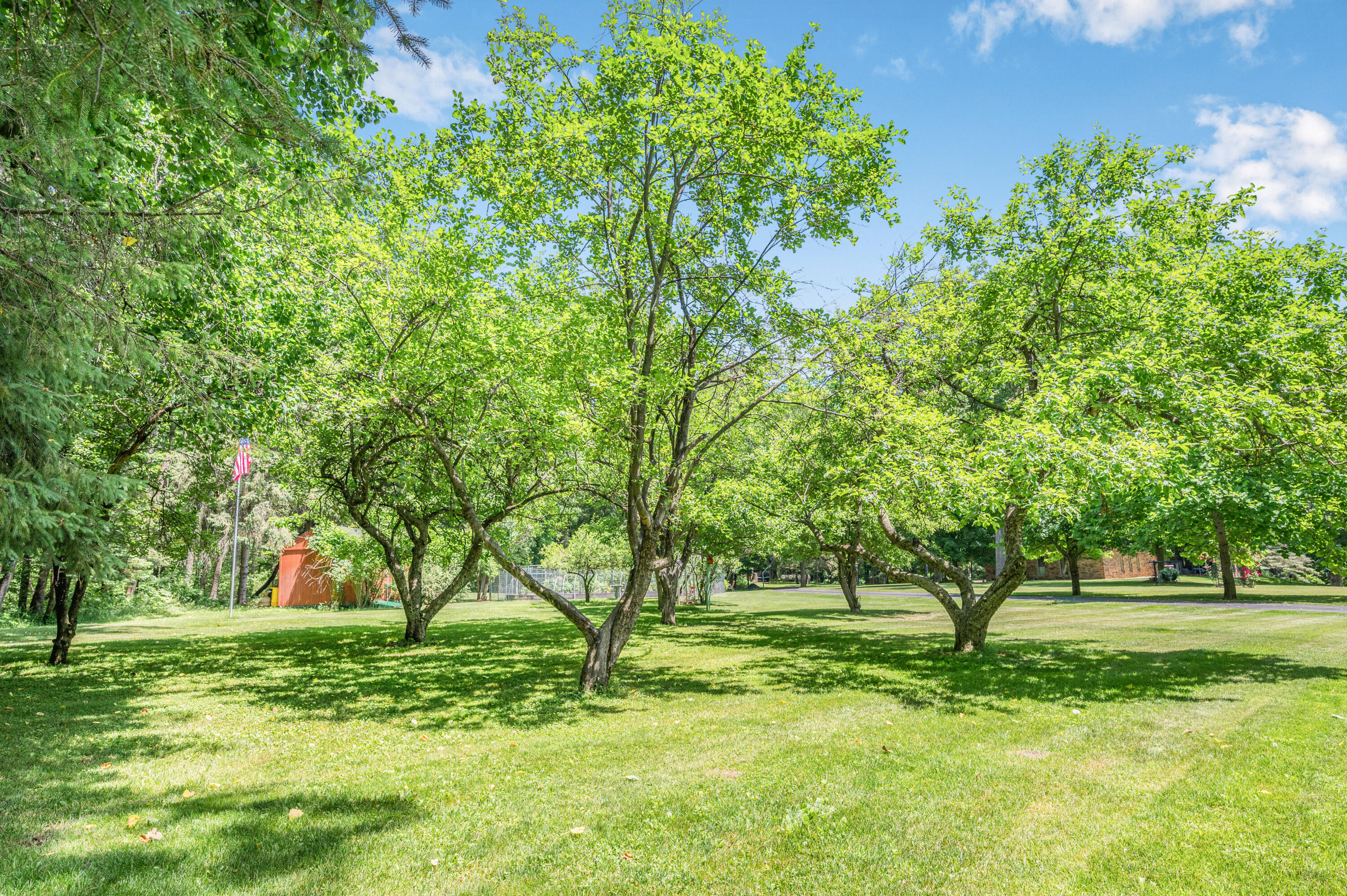 14360 16 Mile Road Rodney, MI 49342 - Photo 77 of 89 14360-16MileRd-Rodney-80
