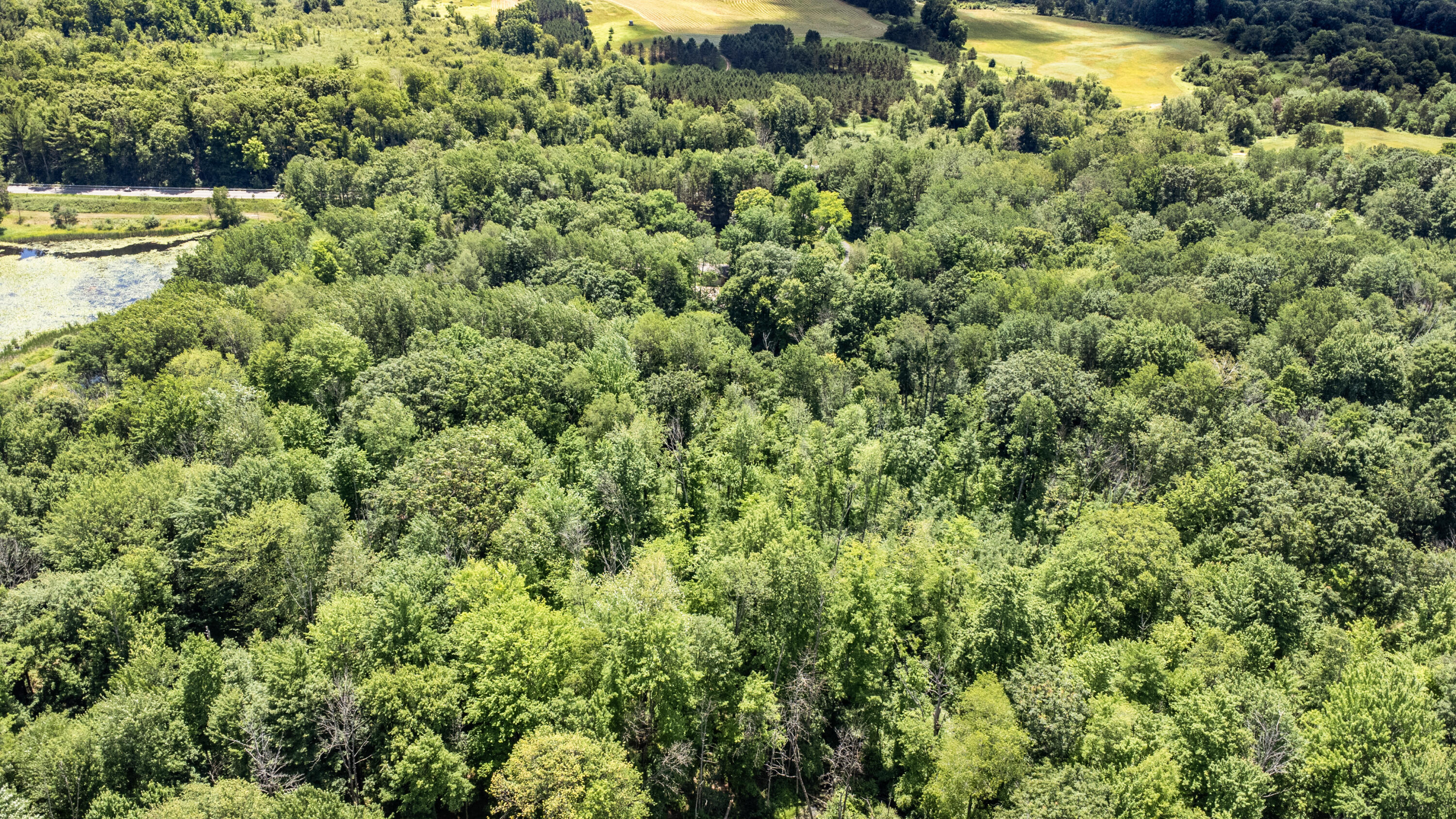 14360 16 Mile Road Rodney, MI 49342 - Photo 86 of 89 14360-16MileRd-Rodney-91