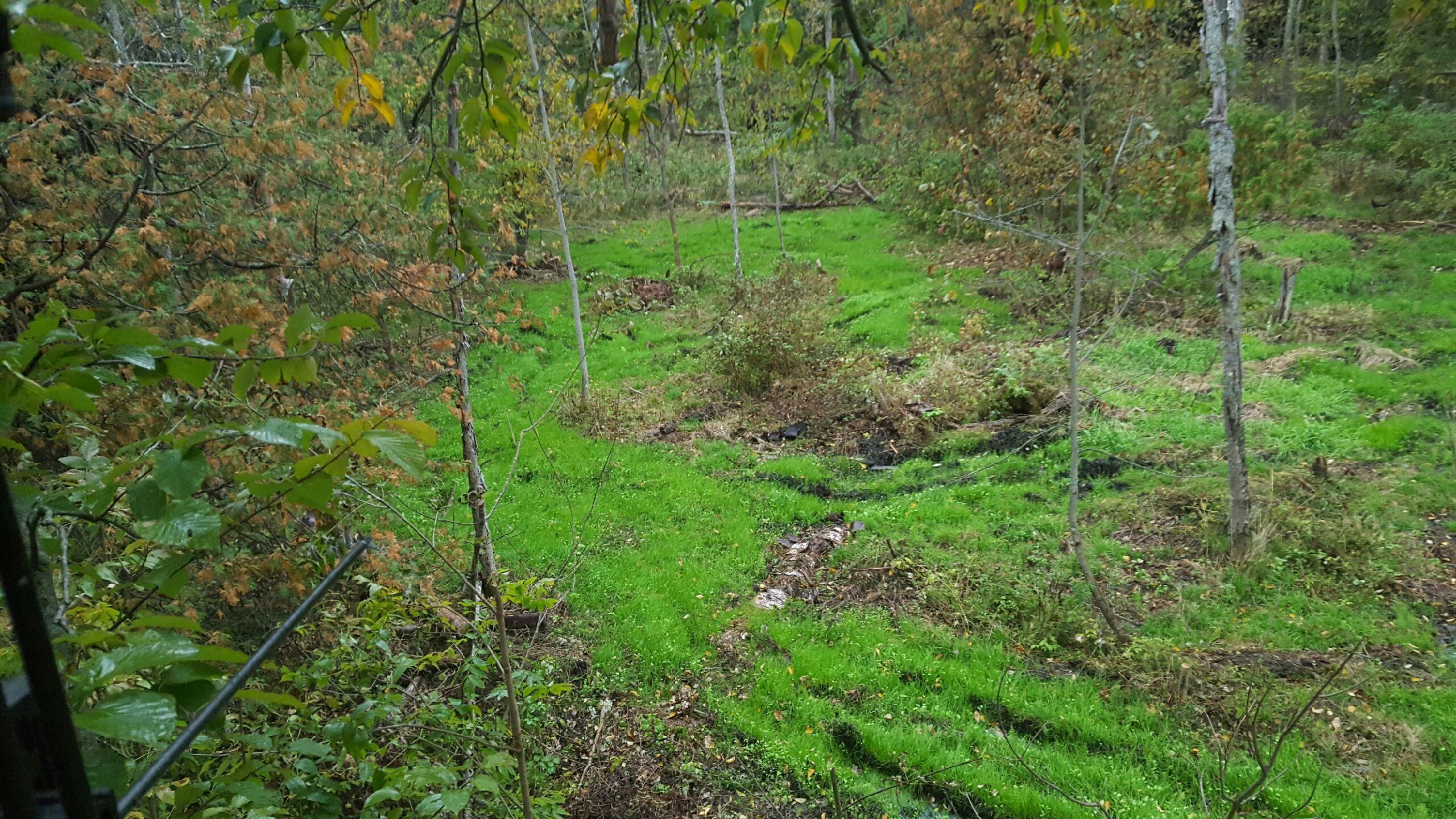 40-acres Tolan Road Spruce, MI 48762 - Photo 15 of 95 Gallery Image 15