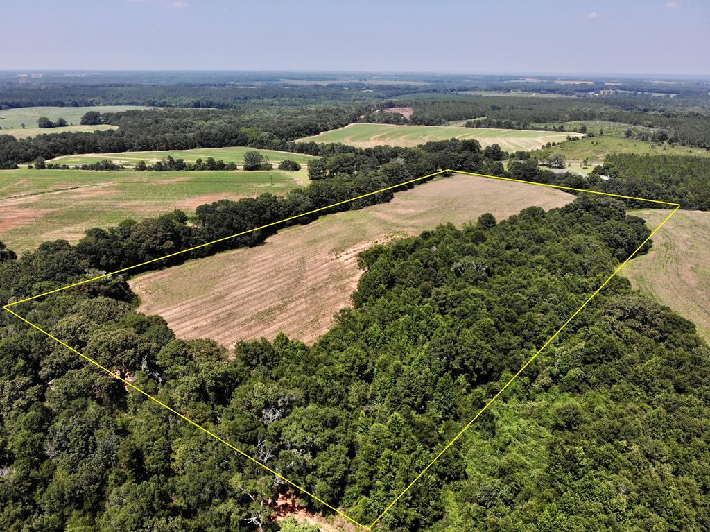 19-ac Ollie Pouncey Road Chancellor, AL 36316 - Photo 5 of 16