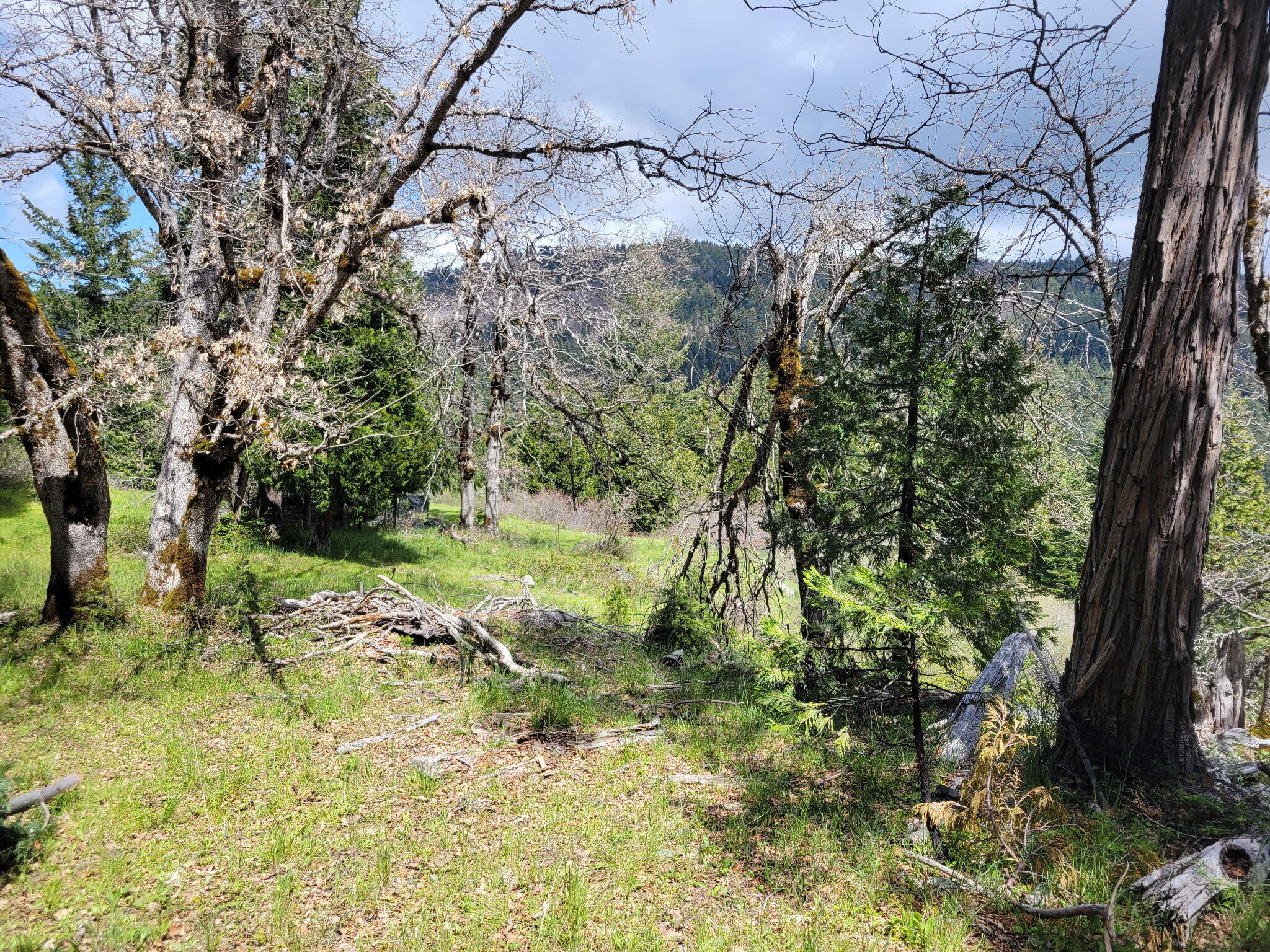 40-acres Snow Camp Road Korbel, CA 95550 - Photo 26 of 26