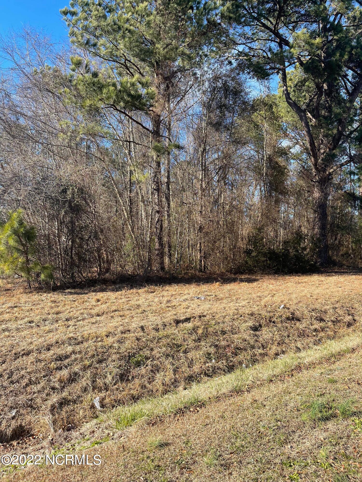 0 Mosely Road Walstonburg, NC 27888 - Photo 1 of 1 Side-view of the land
