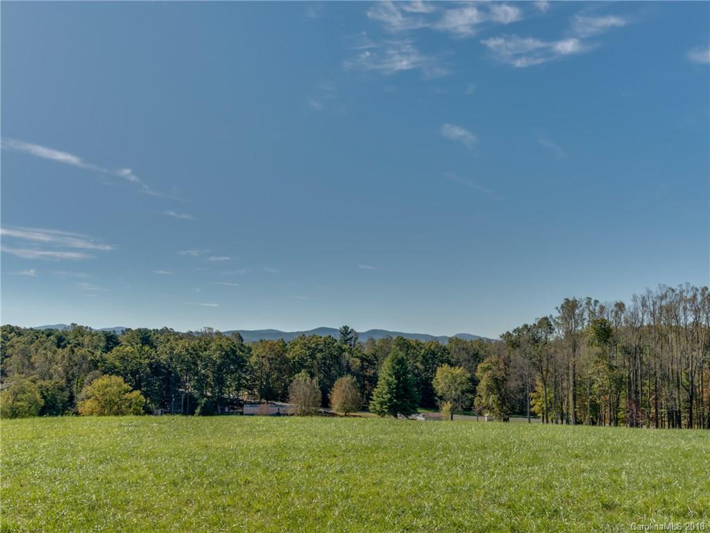 587 Big Hungry Road Flat Rock, NC 28731 - Photo 15 of 15 Gallery Image 15