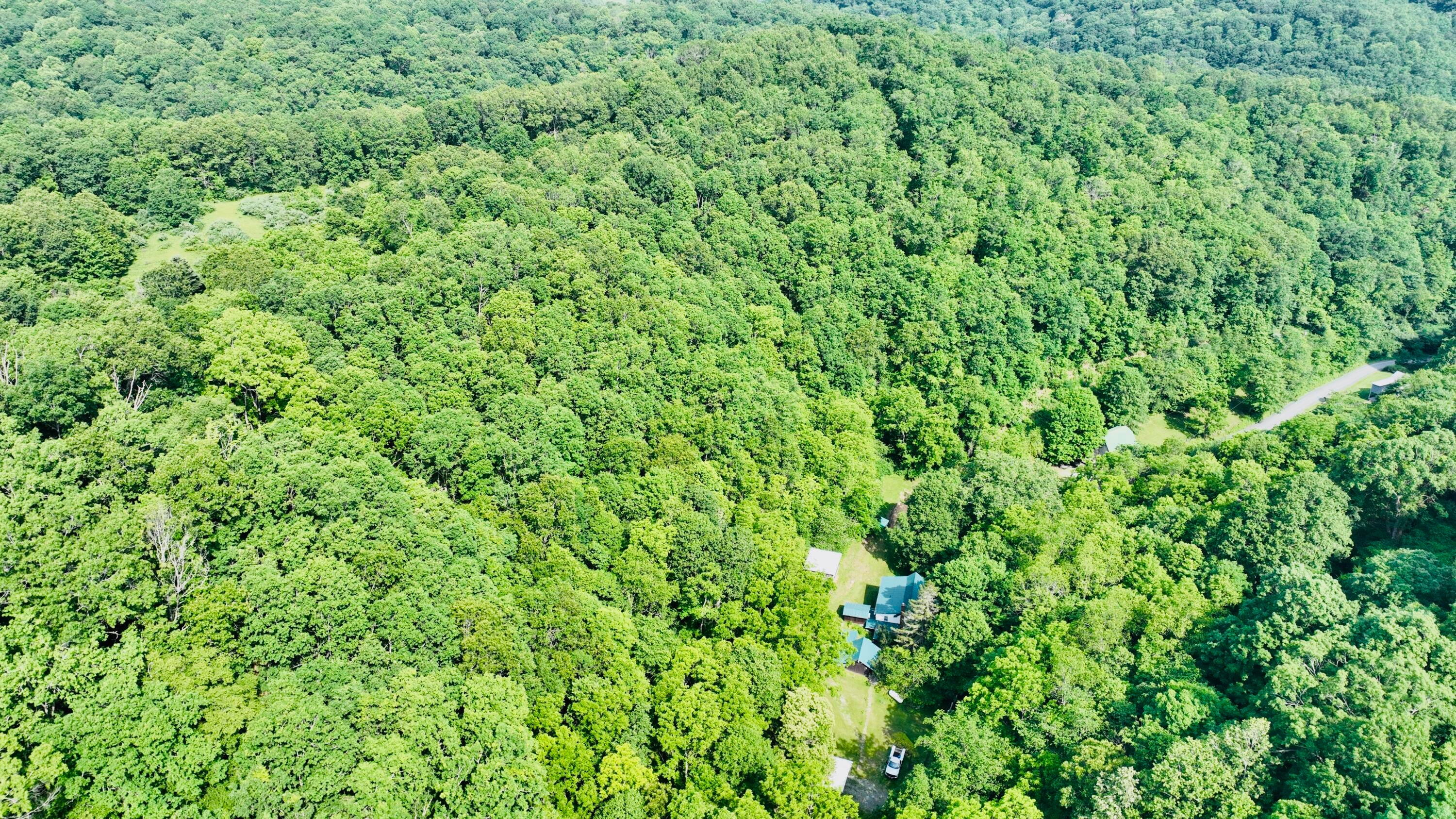 366 Raders Valley Road Lewisburg, WV 24901 - Photo 111 of 111 Gallery Image 111