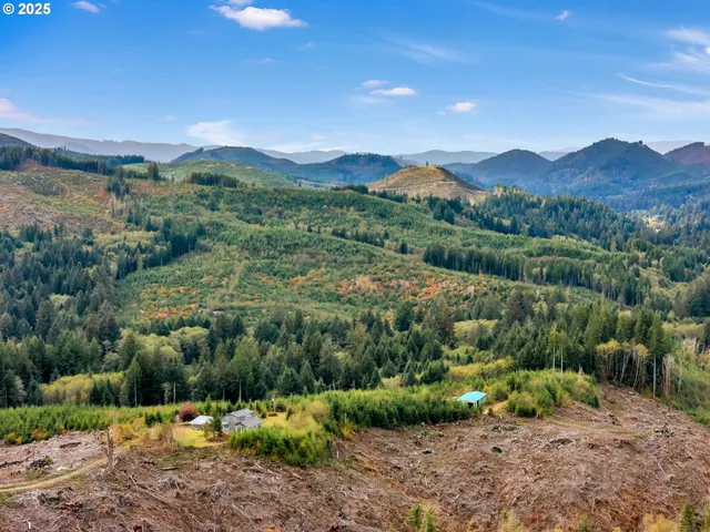 a view of a lush green hillside and houses