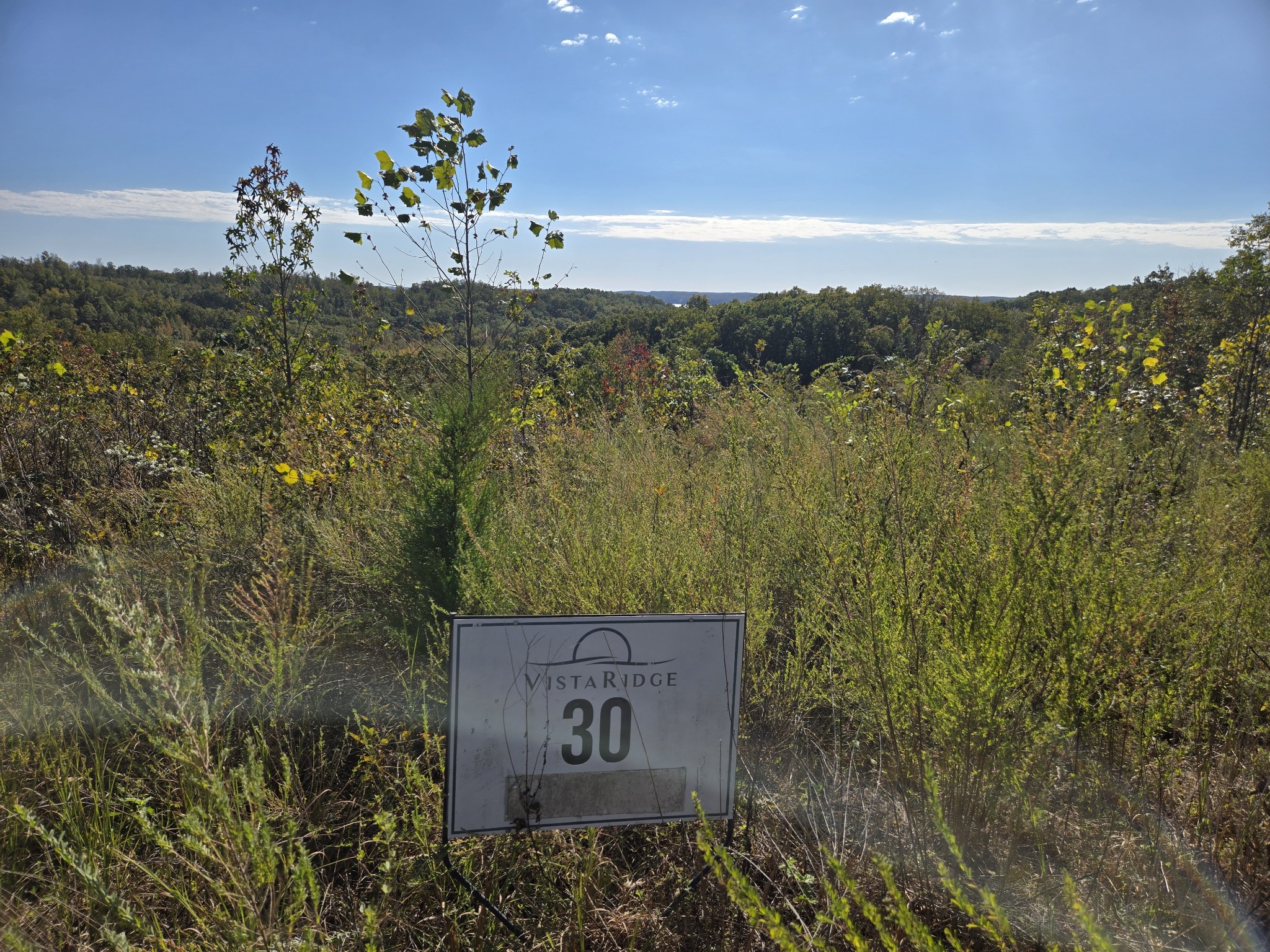 a view of a bench in middle of the green field