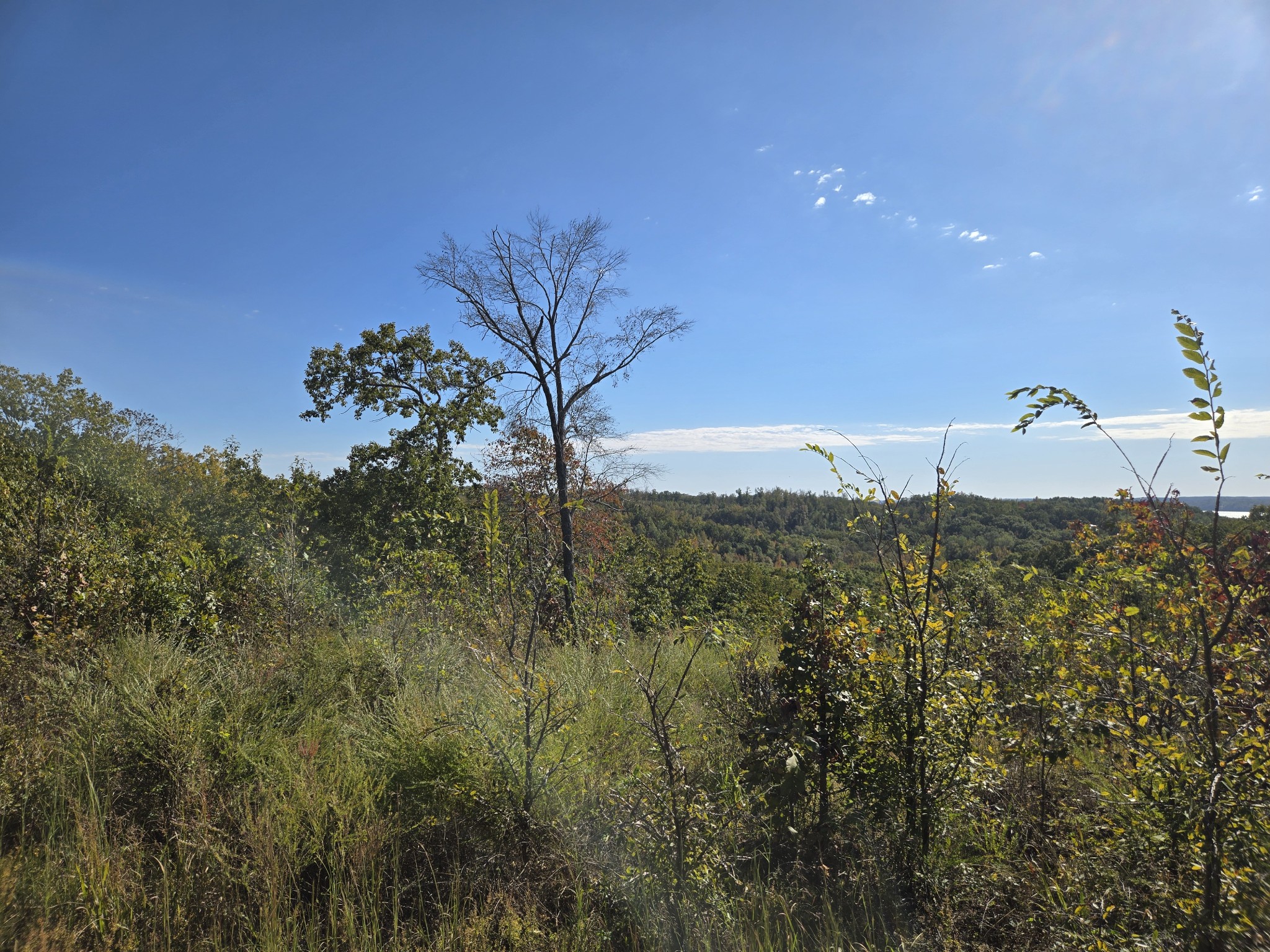 0 Vista Ridge Drive Stewart, TN 37175 - Photo 4 of 10