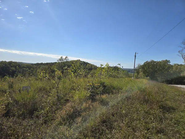 a view of a green field