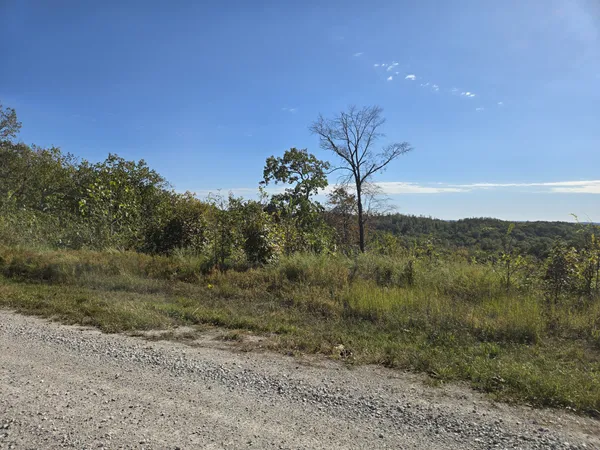 a view of a big yard with a mountain