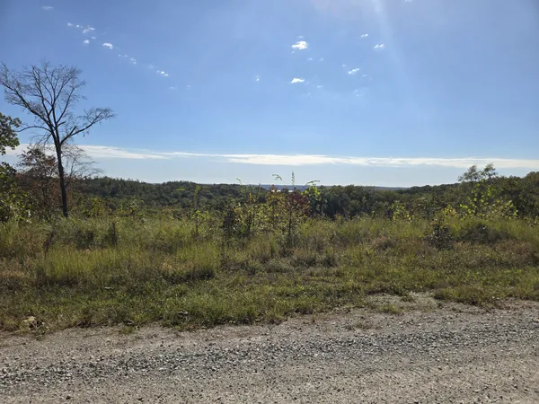 a view of a forest with a forest