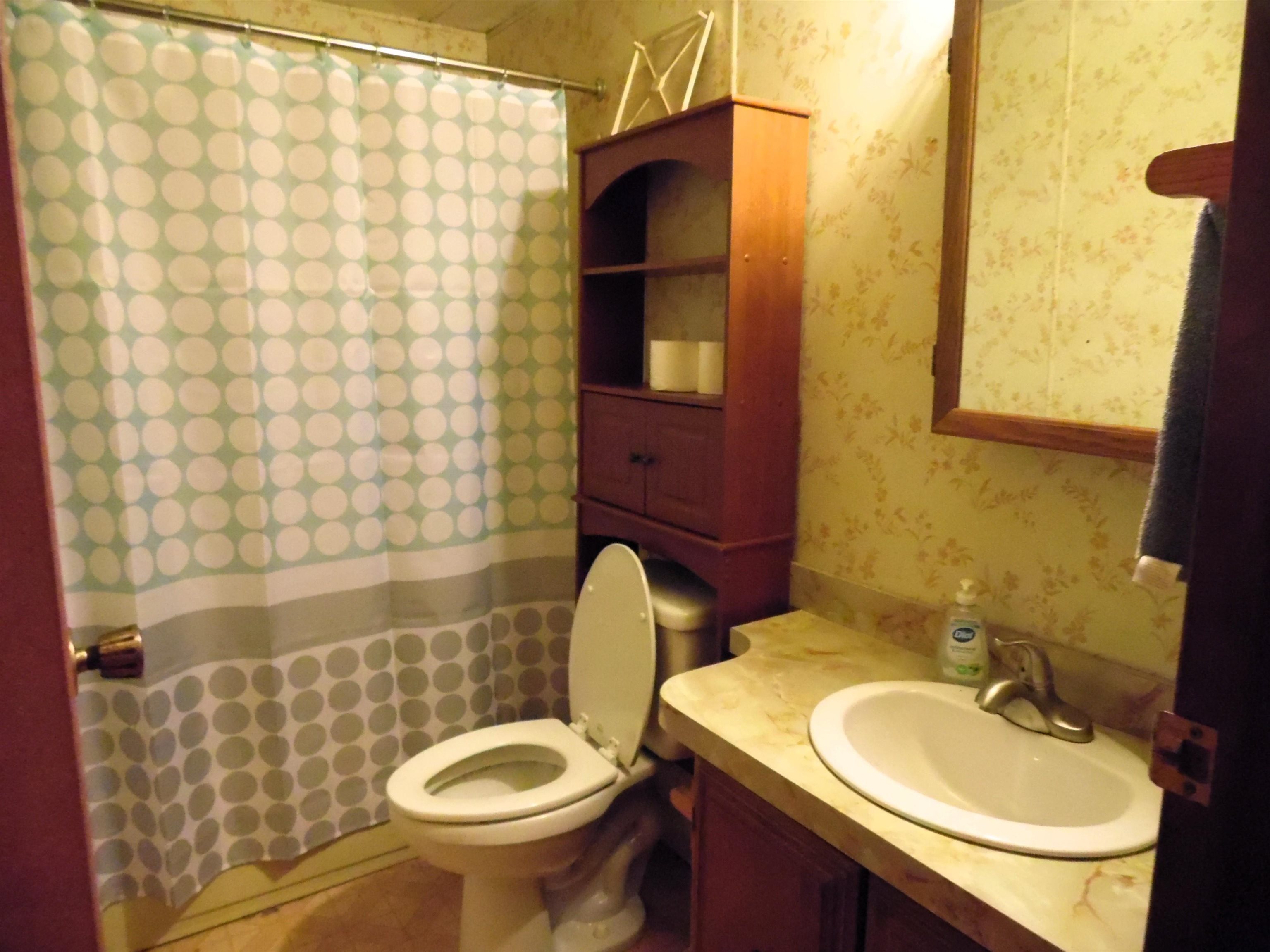 811 Graham Road Coleman, MI 48618 - Photo 32 of 78