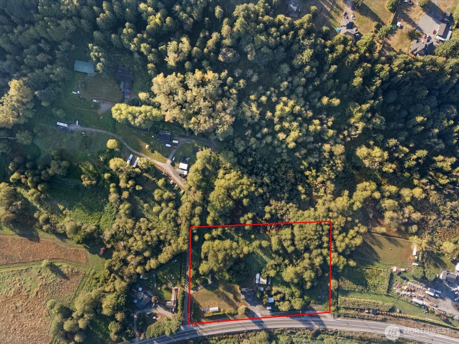 13802 State Rte 530 Northeast Arlington, WA 98223 - Photo 40 of 40 a flower in a garden