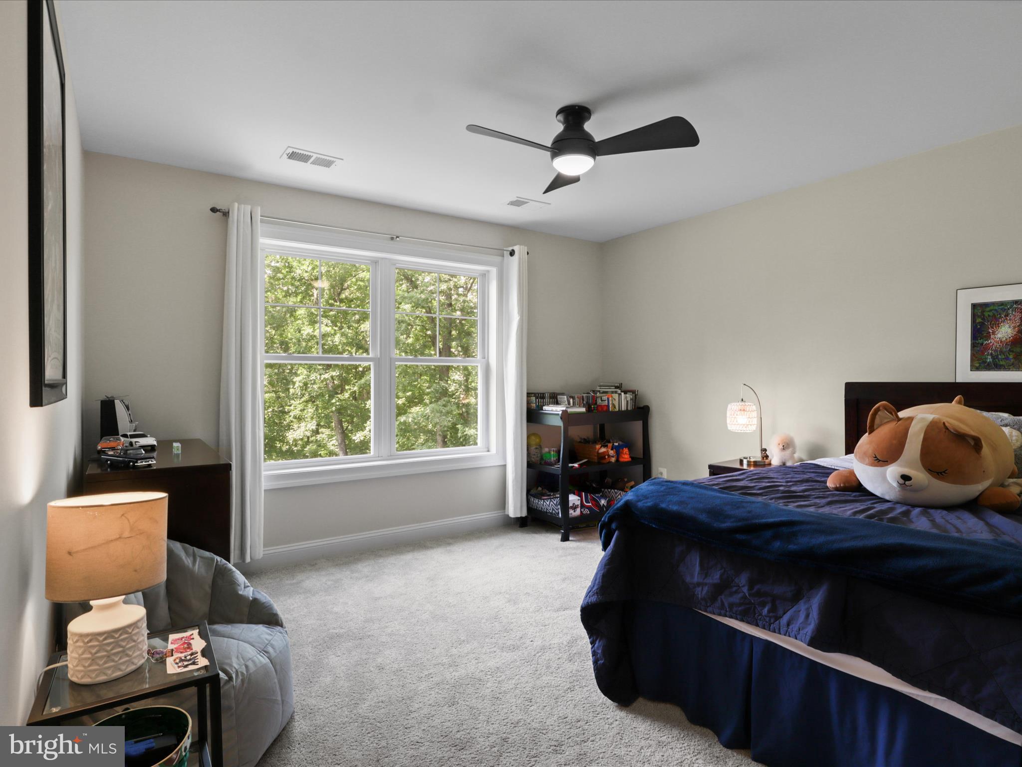 8254 Lees Ridge Road Warrenton, VA 20186 - Photo 38 of 60 Gallery Image 38