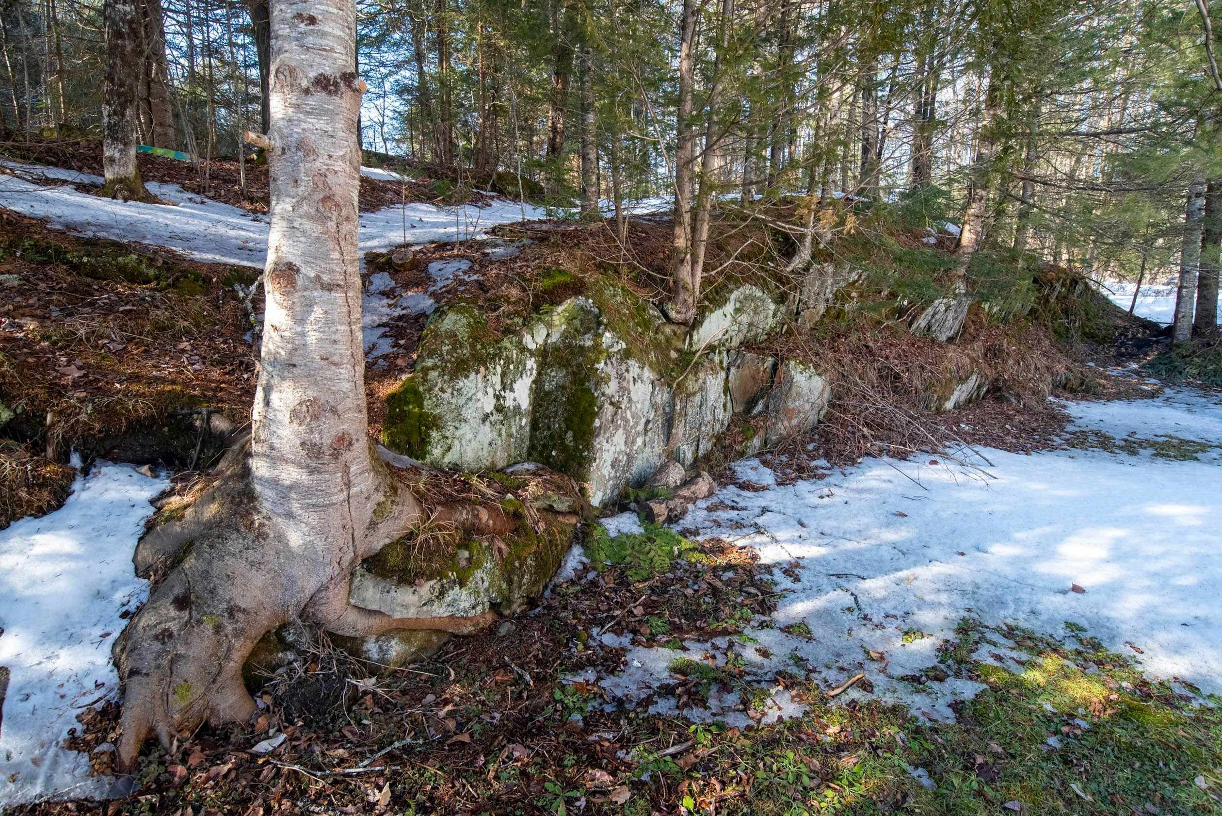 95 Pratt Road Worcester, VT 05682 - Photo 28 of 30