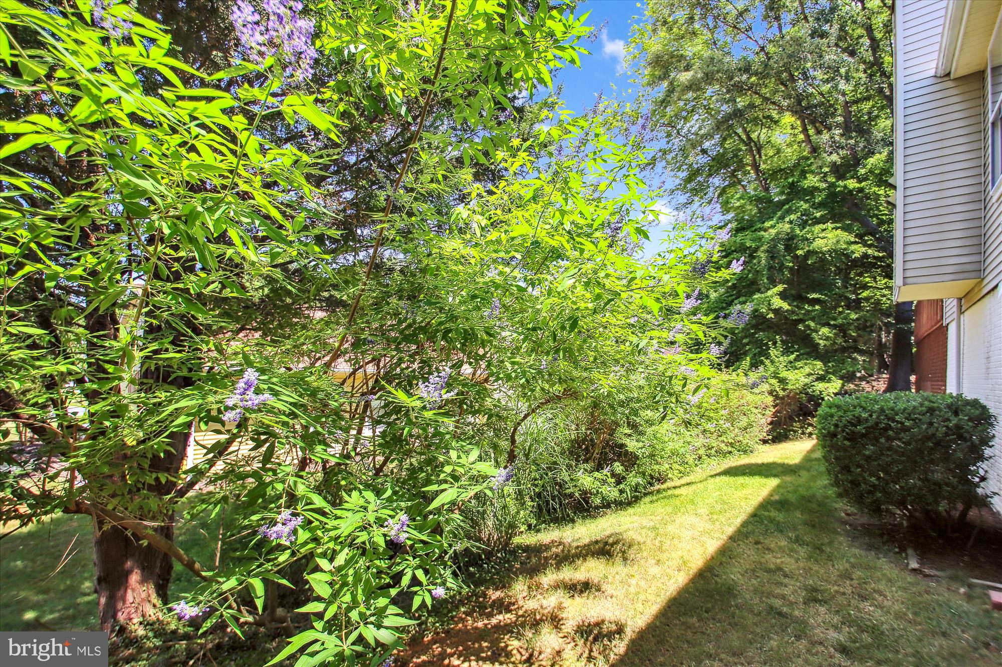 2579 Golfers Ridge Road Annapolis, MD 21401 - Photo 32 of 66 Trimmed Garden Beds & Flowering Fauna