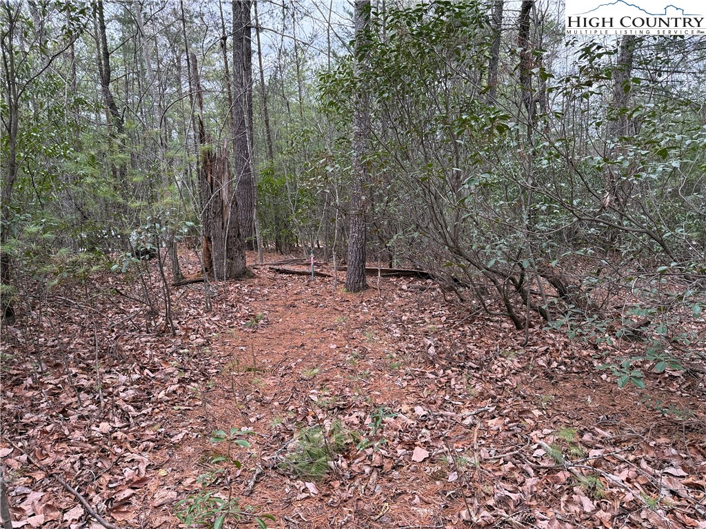 Lot 82 Deer Antler Road Purlear, NC 28665 - Photo 11 of 41 a big yard with lots of green space