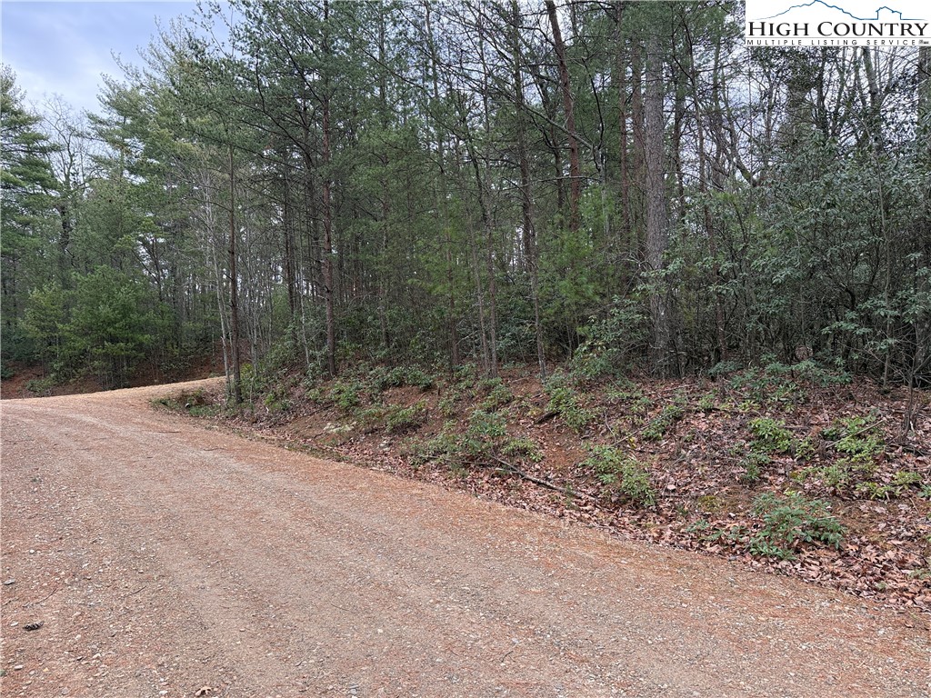 Lot 82 Deer Antler Road Purlear, NC 28665 - Photo 14 of 41 a view of a forest with trees in the background