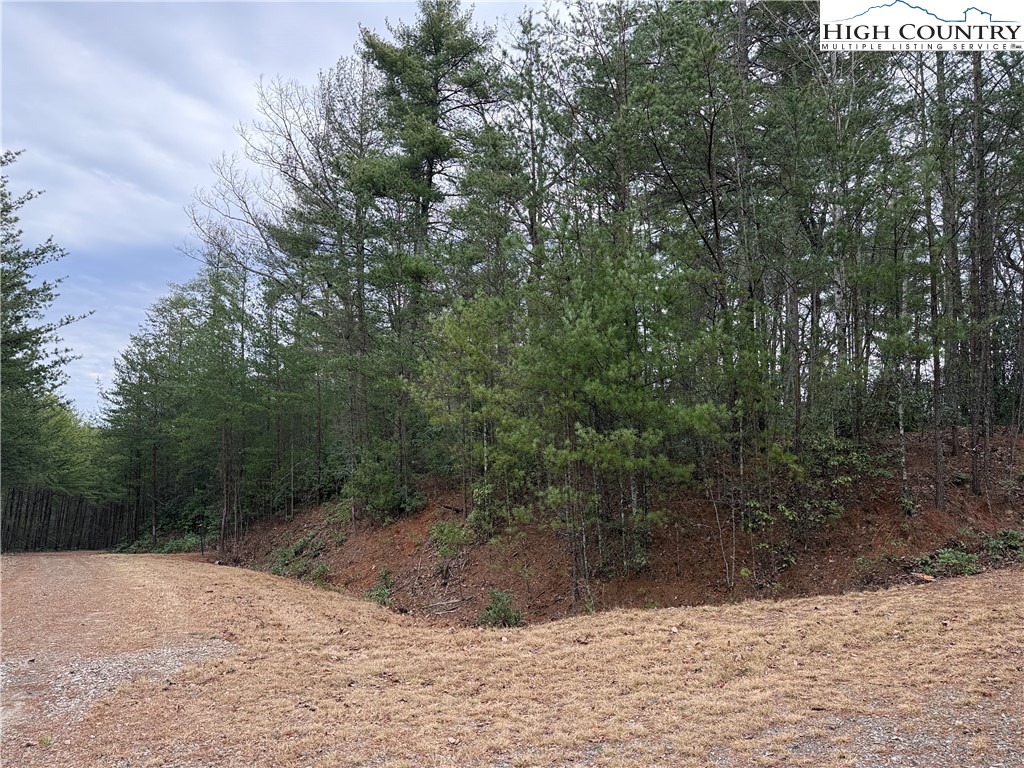Lot 82 Deer Antler Road Purlear, NC 28665 - Photo 15 of 41 a view of a backyard of a house
