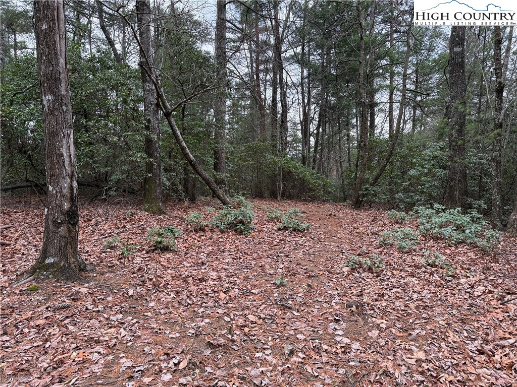 Lot 82 Deer Antler Road Purlear, NC 28665 - Photo 2 of 41 a view of a forest with trees in the background