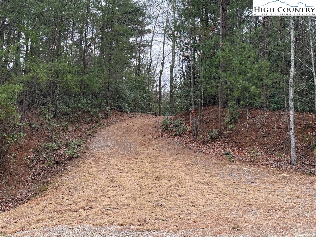 Lot 82 Deer Antler Road Purlear, NC 28665 - Photo 4 of 41 a view of a forest with trees in the background