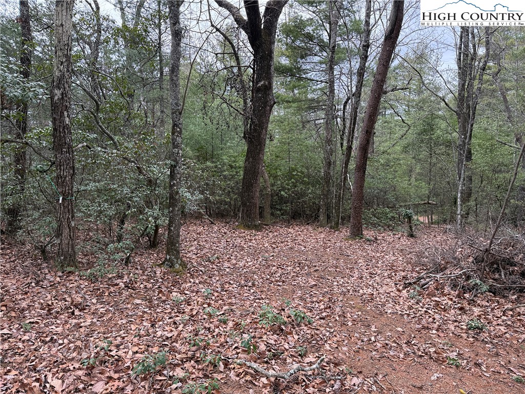 Lot 82 Deer Antler Road Purlear, NC 28665 - Photo 5 of 41 a big yard with lots of green space